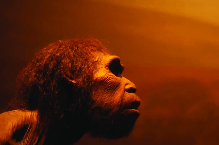 Hallan los restos del humano más antiguo de la historia-0