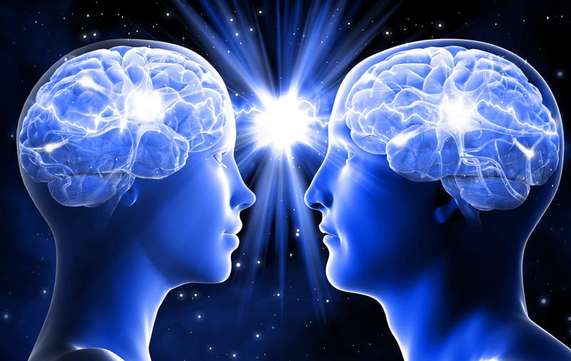 Las principales diferencias entre el cerebro femenino y el masculino-0