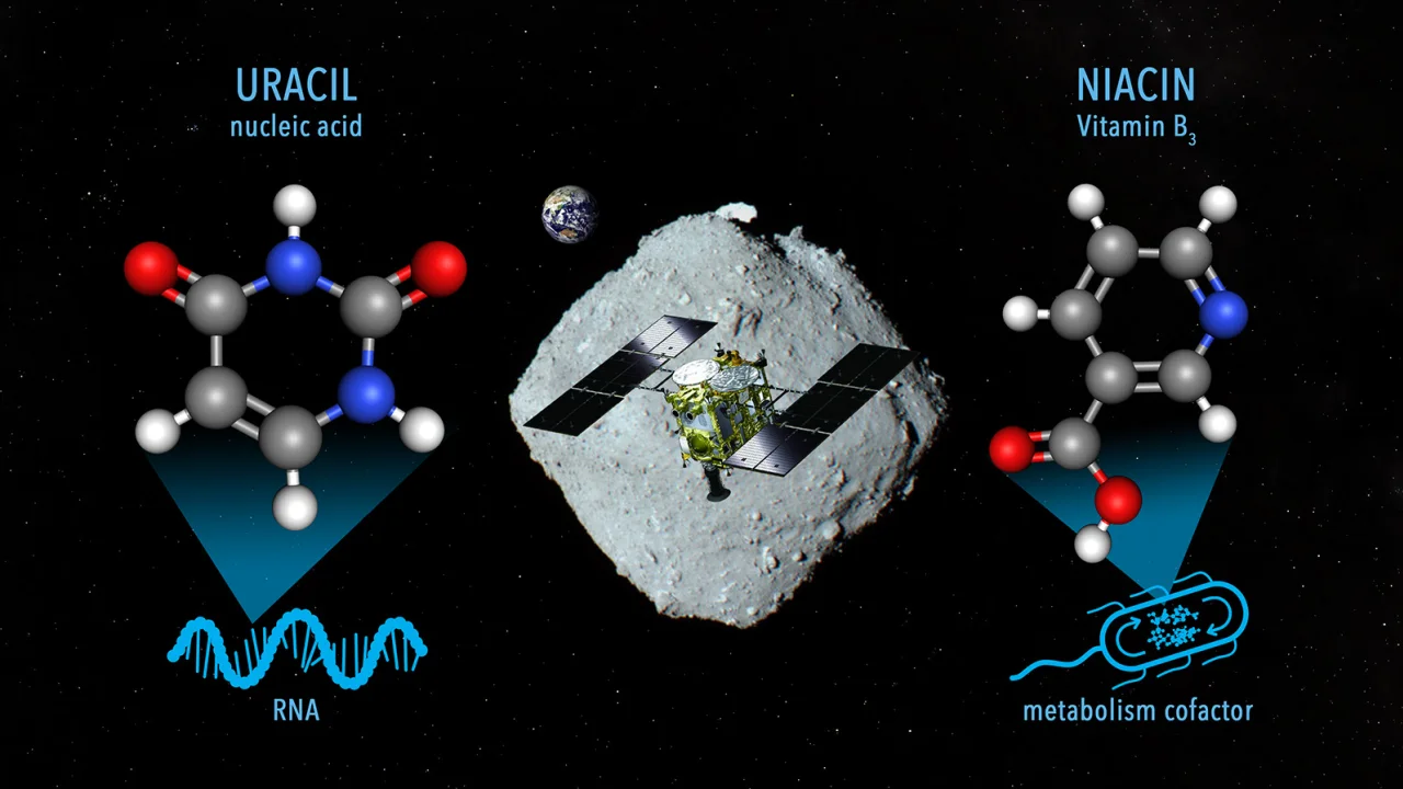 Los elementos hallados en las muestras del asteroide.