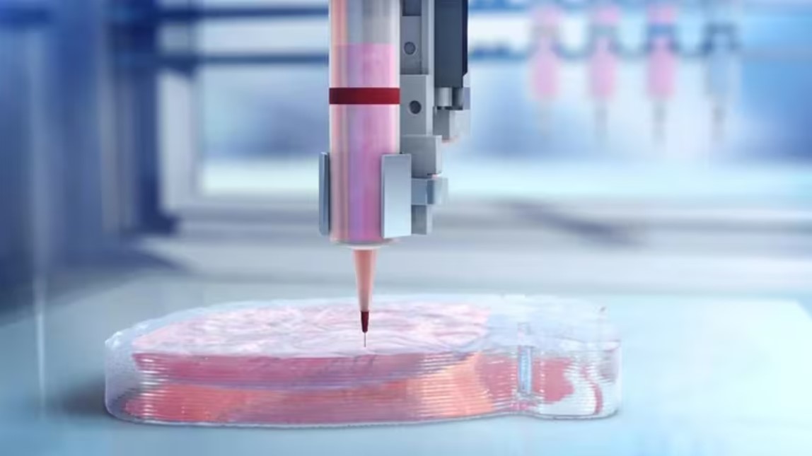Los científicos utilizaron la técnica de bioimpresión 3D con células humanas. 