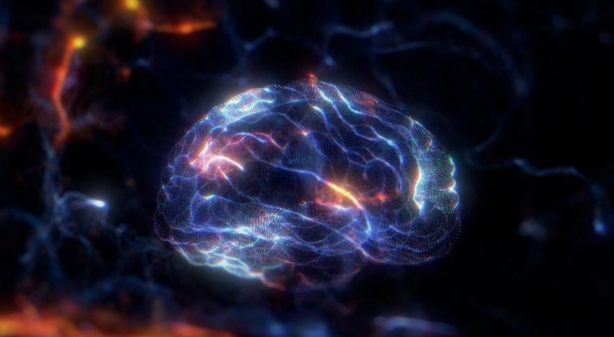 Cómo funciona el olvido en el cerebro, según Harvard