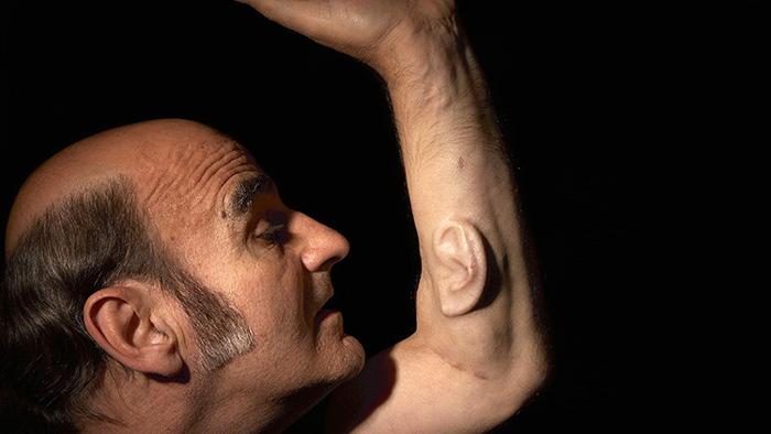 Un artista y profesor australiano 'cultiva' una oreja en su brazo para conectarla a Internet-0