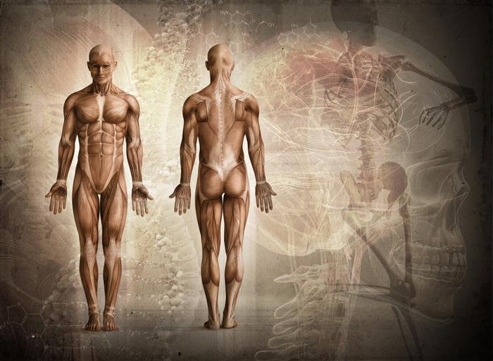 La ciencia explica 6 increíbles funciones del cuerpo humano-0